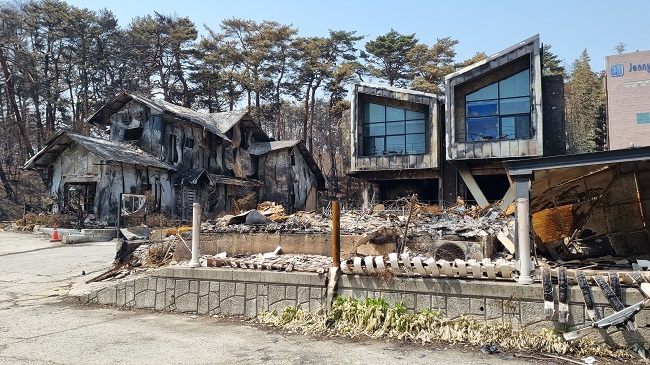 강릉 화재.jpg