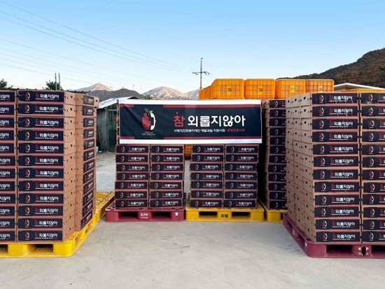 사랑의 전화 문경 사과 500상자 전국 취약계층 어르신에게 전달.jpg